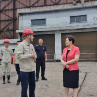 省第二生态环境保护督察组下沉株洲县市区督察