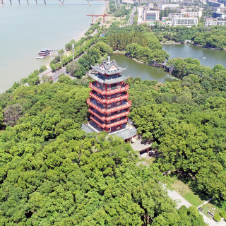 深耕高熔点稀有金属赛道 炎陵产业集群获评省级特色集群