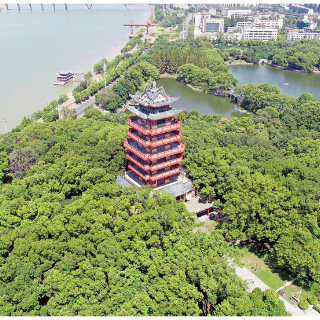 株洲市“绿色护考”倡议书