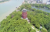 株洲高新税务：身边有榜样 青春践担当