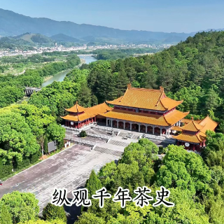 视频丨炎帝为何被尊为中华茶祖?