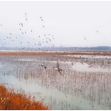 我国确定生物多样性保护目标