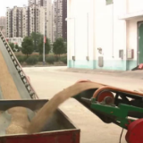 秋粮收购进行时 全国秋粮收购大范围展开 进度快于上年