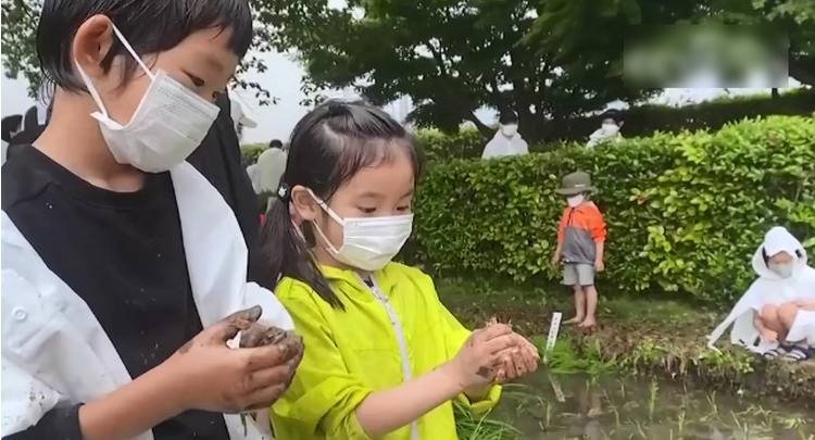 日本东京：种稻养蜂 楼顶“城市农场”兴起