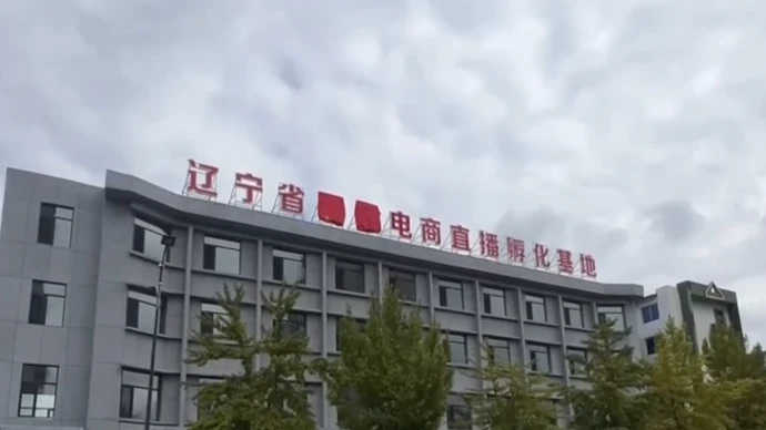 揭秘“东北雨姐”直播背后的真相 “东北雨姐”注册20多家公司 “化整为零”有何秘密？