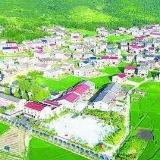 茶陵县烟草专卖局：展现担当 打赢“两仗”