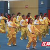 株洲市“三好杯”中小学生运动会武术比赛圆满落幕