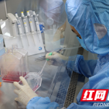 株洲启动知识产权宣传周 为企业复工复产“助燃”