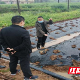 茶陵科技服务团进基层发“红包”