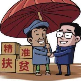 “山货”变“山宝” 护航生态新农村