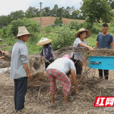 茶陵湖口镇：秸秆利用 “变废为宝” 还农村一片蓝天