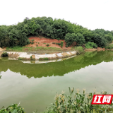 又见清清绿水 芦淞区全力推进辖区黑臭水体整治工作