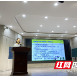 株洲市芦淞区栗树山小学开展德育培训活动