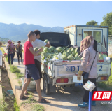 茶陵管塘村：西瓜产业助脱贫