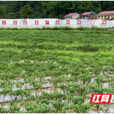 茶陵科技特派员为脱贫“加把力”