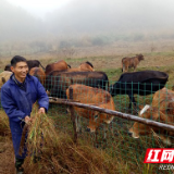 茶陵新芫村：将贫困户的笑容写进脱贫答卷