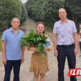春华秋实桃李沁香 五里墩中学迎庆教师节