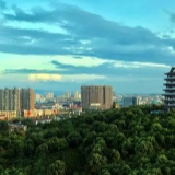 国庆长假第3天 曹慧泉赴荷塘区调研这些工作