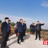 省计生协赴渌口区调研指导项目工作