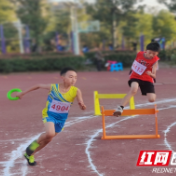 贺家土小学获市“三好杯”中小学生运动会武术、游泳第一名