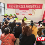 炎陵县霞阳镇：小区党建出实招 浓画居民生命线
