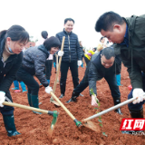 春回大地 株洲市市场监督管理局开展义务植树活动