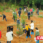 栽种希望之绿 芦淞区又种下了1500棵树