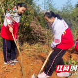 暖阳春意融融日 株洲市外国语学子植树忙