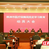 株洲市医疗保障局召开党史学习教育动员大会