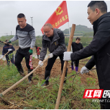 在田间地头“上课” 芦淞区“接地气”学党史、办实事