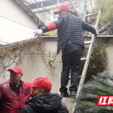 结合党史学习教育 芦淞区为群众办实事打出“组合拳”
