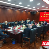 株洲经开区召开国卫提升工作调度会