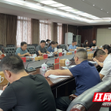 株洲市市场监管局召开2021年年中知识产权工作推进会议