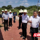 株洲市人大常委会副主任李智赴攸县盘塘村调研乡村振兴工作