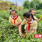 新马小学：让“双减”落地成为最好的开学礼