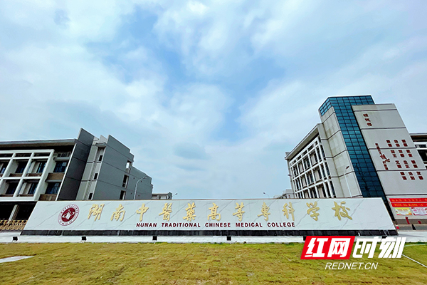 我们这十年 湖南中医药高等专科学校建设发展纪实