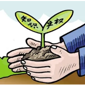 株洲新增一批国家知识产权优势企业和示范企业