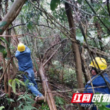 国网株洲渌口区供电公司：“村电联手”共破冰 安全保电暖民心