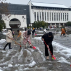 天元区新马小学：齐心协力铲春雪 春意盎然待子归