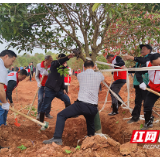 芦淞区开展义务植树 又添20亩绿地