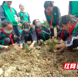 芦淞区白关中心小学举行丝瓜种植活动启动仪式