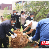 长沙市一中株洲实验学校开展谷雨植树活动