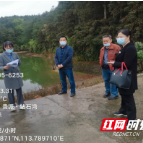 炎陵县霞阳镇开展安全度汛河库专项检查