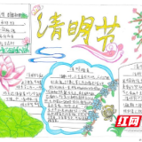 芦淞区南方第三小学开展“我们的节日·清明节”手抄报比赛