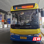 6月30日起 株洲7路、T7路、T91路公交恢复原线通行    