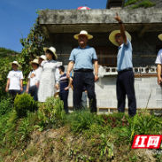 湖南化工职院党委书记陈超带队调研帮扶龙山县尖岩村
