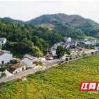 醴陵枫林镇全域建设美丽乡村 全面助推乡村振兴