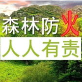 森林火险等级攀升！红、橙、黄三道预警齐发
