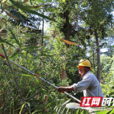 国网株洲供电公司精心备战中秋国庆保电