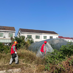 国网醴陵市供电公司：“满格电”助力大棚蔬菜丰收